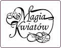Magia Kwiatów – Pracownia Florystyczna