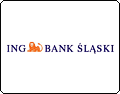 ING Bank Śląski SA Oddział w Rudzie Śląskiej