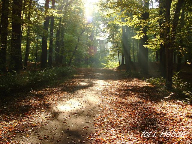 Kliknijaby powiekszyć !
