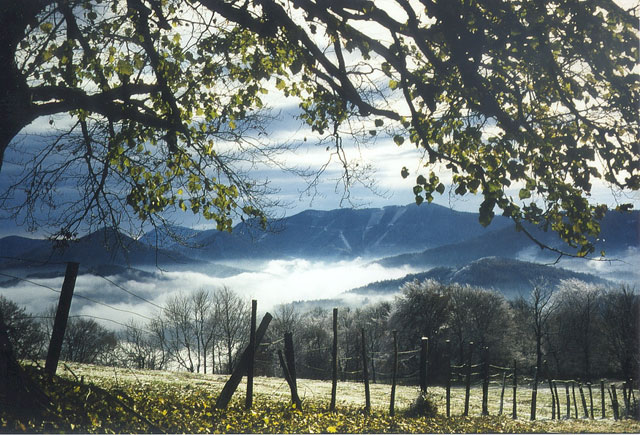 Mank i Melker Alpenvorland