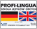 Szkoła Języków Obcych Profi Lingua