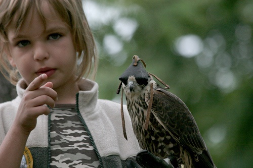 Orła cień nad chorzowskim ZOO