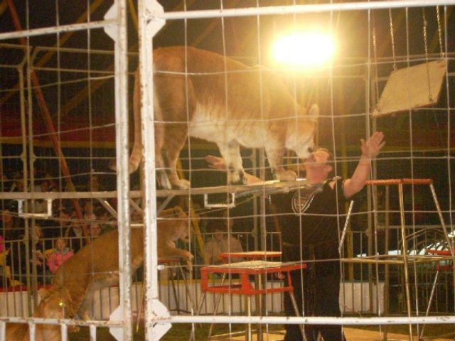 Kliknij aby powiększyć!