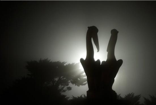 Uchwycić ulotne chwile w WPKiW