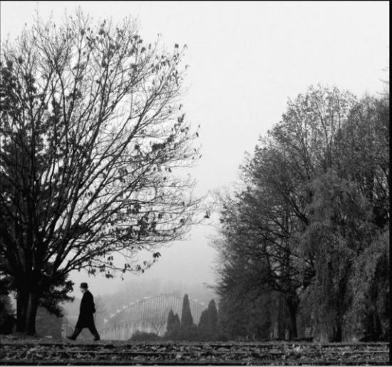 Fotokonkurs WPKiW rostrzygnięty