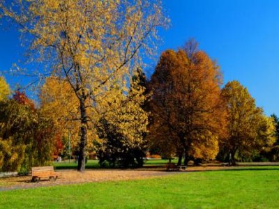 Darmowe, wakacyjne warsztaty dla dzieci!