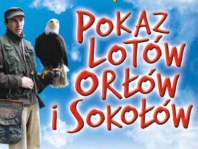 Kolejny pokaz lotów ptaków drapieżnych