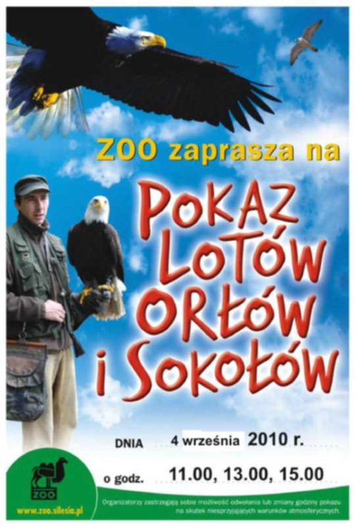 Kolejny pokaz lotów ptaków drapieżnych