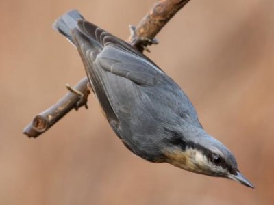 Jesteś uczniem podstawówki? Weź udział w naszym konkursie! Do wygrania cenne nagrody!