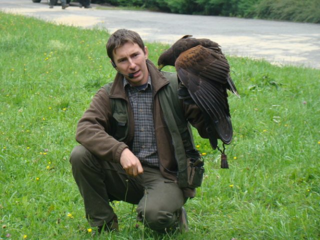 Fotorelacja z lotów ptaków