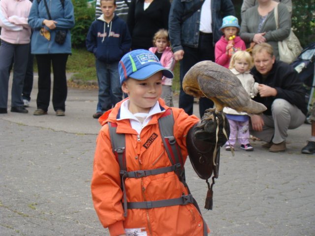 Fotorelacja z lotów ptaków