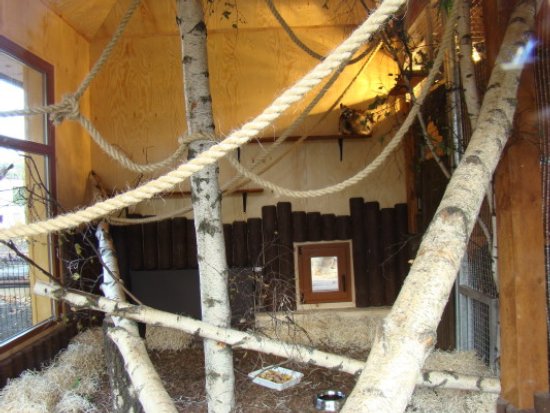 Zakończenie budowy nowego domu lemurów