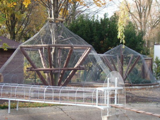 Zakończenie budowy nowego domu lemurów