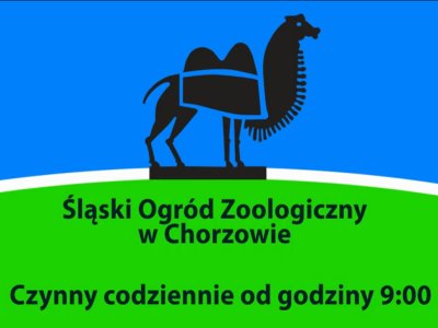 Zmiany godzin otwarcia zoo w grudniu