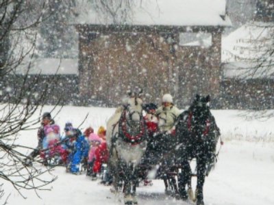Zapraszamy na kuligi