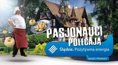 Śląskie liderem w oczach szefów biur reklamy