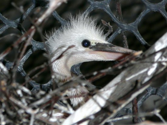 Czyżby to już wiosna?
