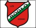 LZS Rodło Górniki
