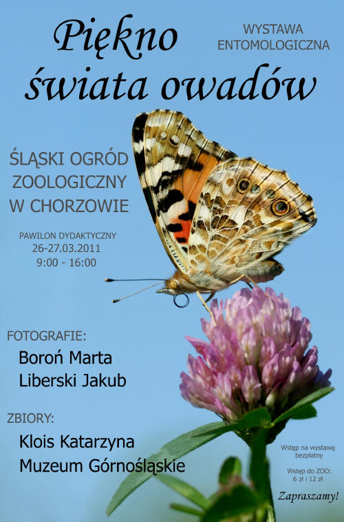 Wystawa entomologiczna