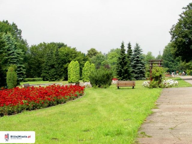 Na spacer do Rosarium