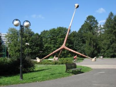 Szukamy zdjęć Żyrafy