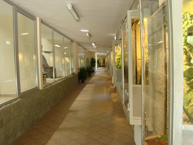 Egzotarium znowu czynne!