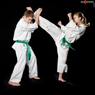 Gliwicki Klub Karate Kyokushin