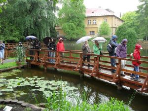 Miejski Ośrodek Kultury w Orzeszu