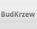 Budkrzew