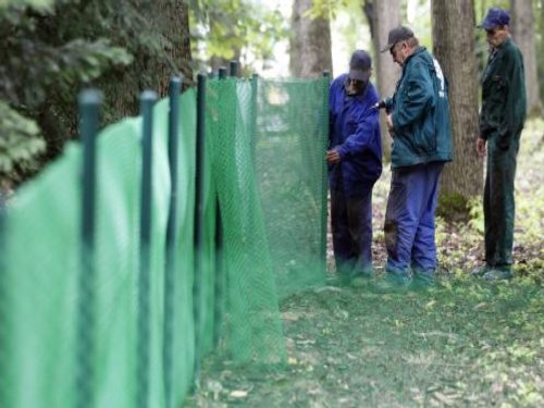 Wybieg dla psów już niebawem