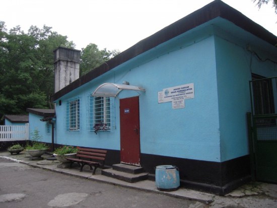 Wolontariat niewygodny dla miasta?