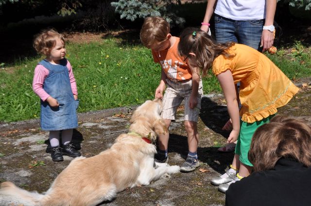 Październikowe spotkanie z psami