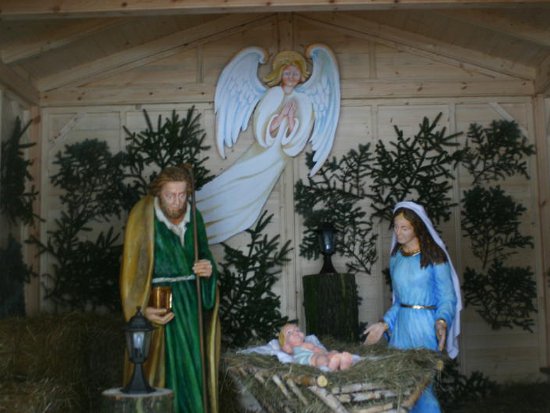 Szopka Bożonarodzeniowa z żywymi zwierzętami