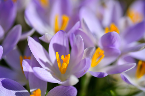 W poszukiwaniu wiosny