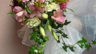 Kantor - Kwiaciarnia Narcyz