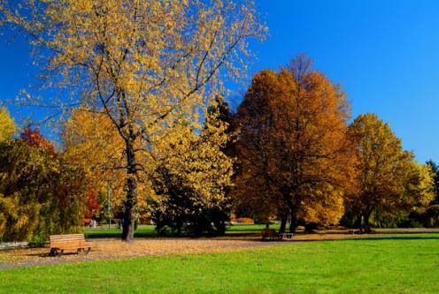 Zagraj w planszówki!