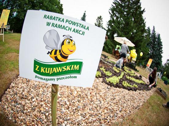 Zostań przyjacielem pszczół!