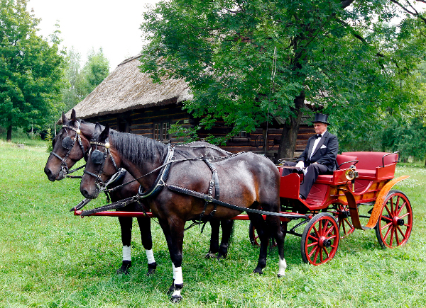 Bryczka wróciła do skansenu