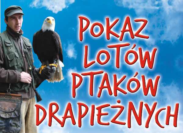Pokazy lotów ptaków w ZOO