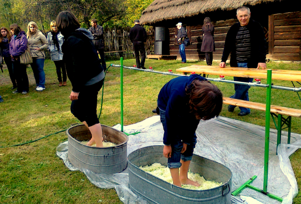 Deptanie kapusty hitem tegorocznych "Darów Jesieni"