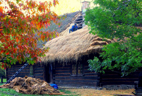 Na młynie z Imielina wymieniane jest pokrycie dachu