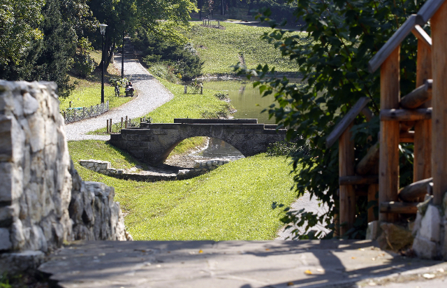 Doktor Teresa Sikora z UŚ: Park jesienią jest nieprzewidywalny
