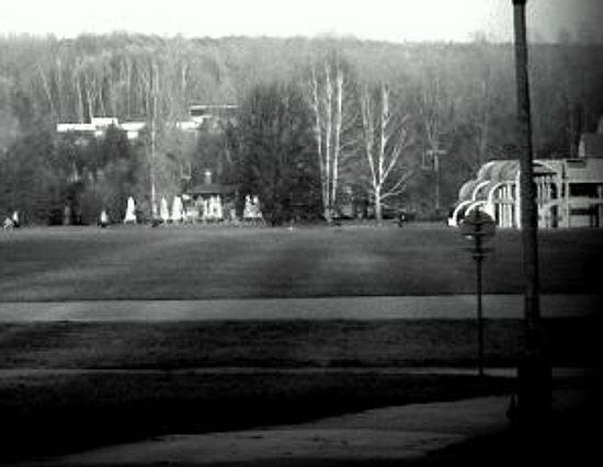 Wandale niszczyli tablice informacyjne w Parku Śląskim