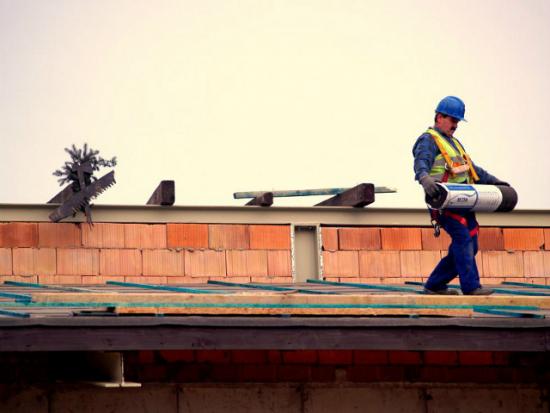 Budowa nowych pawilonów w zoo na półmetku