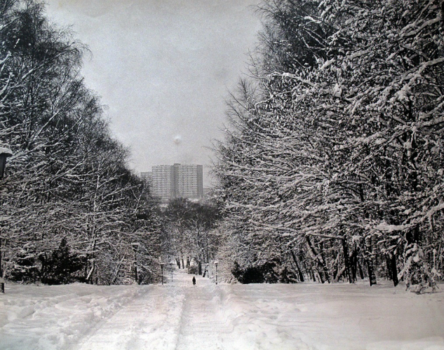 Zima w Parku Śląskim na archiwalnych fotografiach