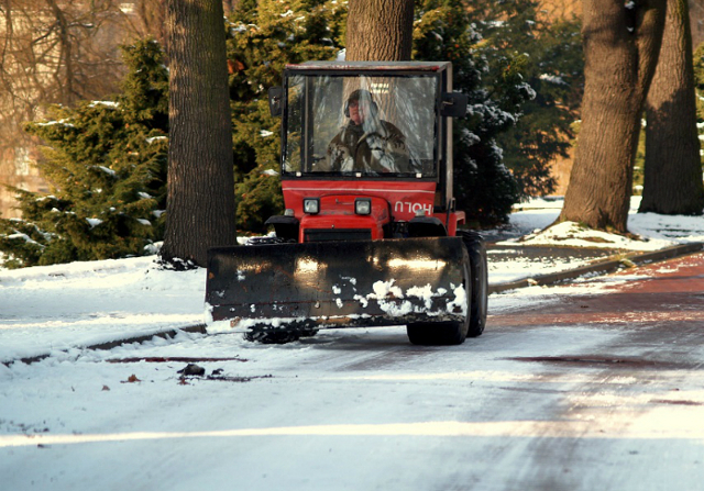 Zima w Parku Śląskim nie może być słona
