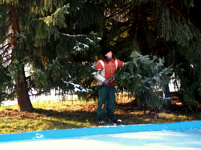 Zima w Parku Śląskim nie może być słona