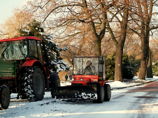 Zima w Parku Śląskim nie może być słona