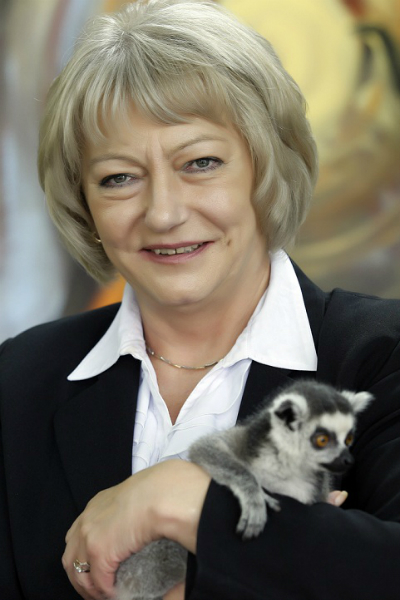 Thisiam, słoń indyjski ze śląskiego zoo, ciągle na walizkach