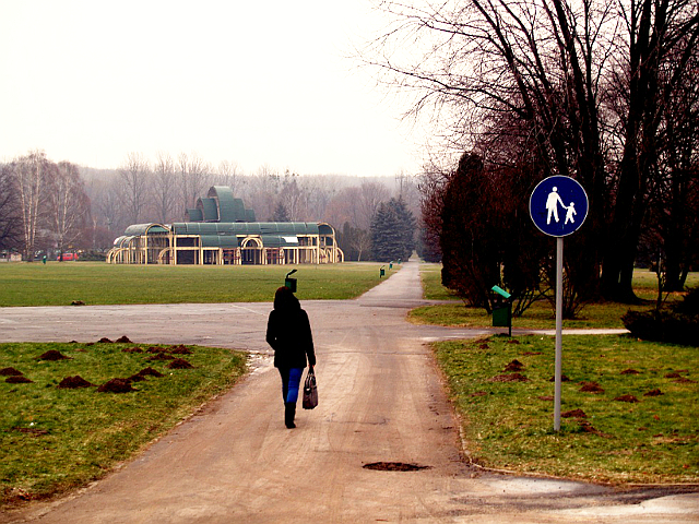 Wylicytuj nazwę alejki dla Wielkiej Orkiestry Świątecznej Pomocy